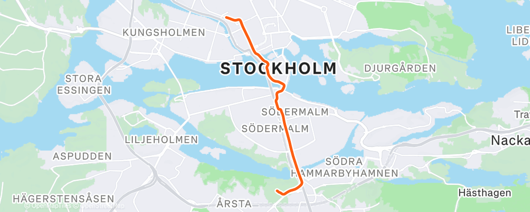 Map of the activity, Morning Ride