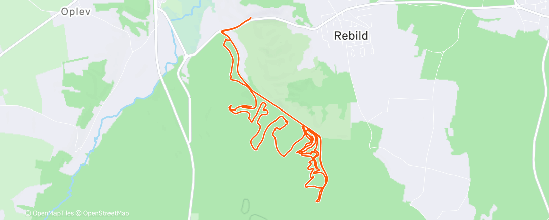 Карта физической активности (Roldskov 🇩🇰)