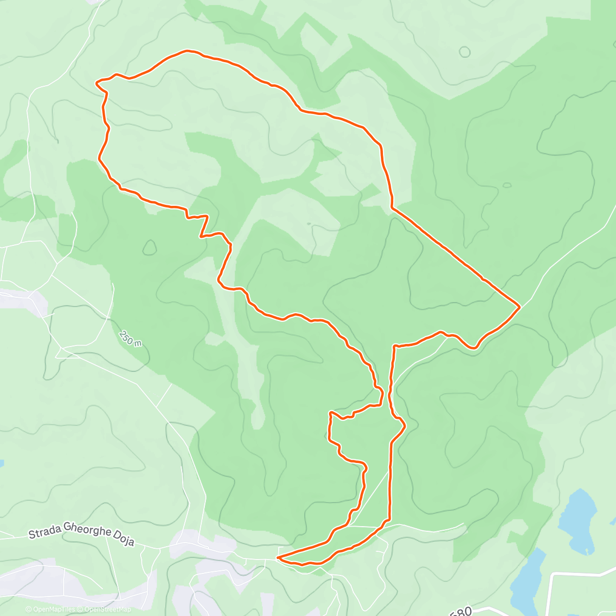 Карта физической активности (CT294)