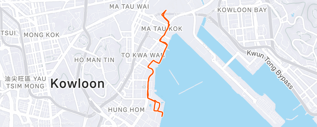 Map of the activity, Evening Run