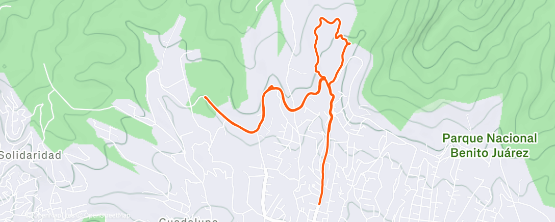 Map of the activity, Morning Run