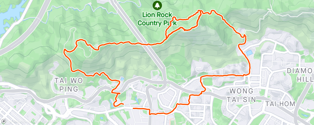 Map of the activity, Lion Rock down record attempt 🫨