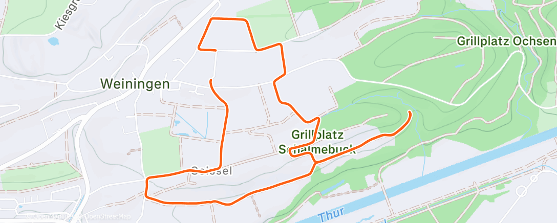 Карта физической активности (Morning Run)