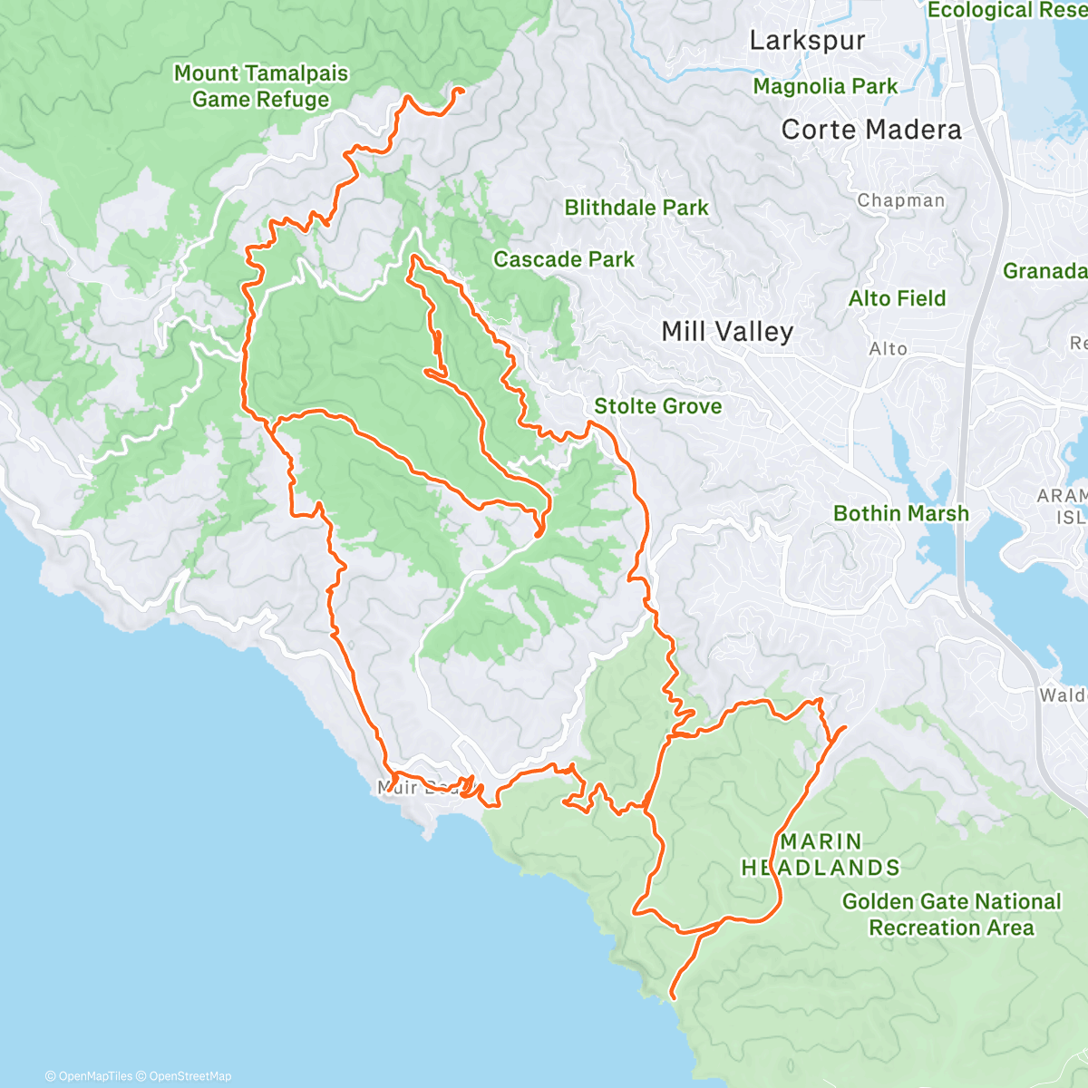 Карта физической активности (Long one with Josh and Jerry!)