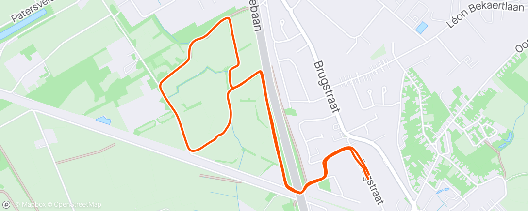 Map of the activity, 🐕 Morning Walk