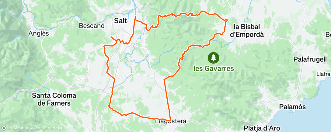 Mapa de la actividad (Training)