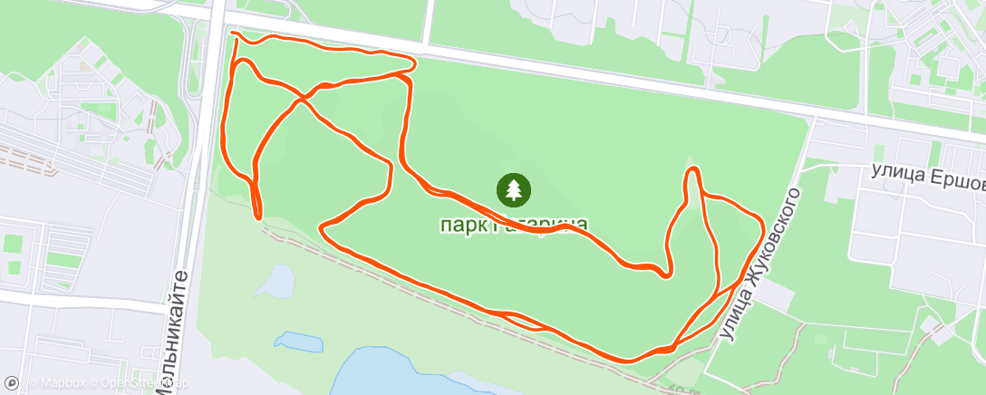 Map of the activity, Трейлраннинг (утро)