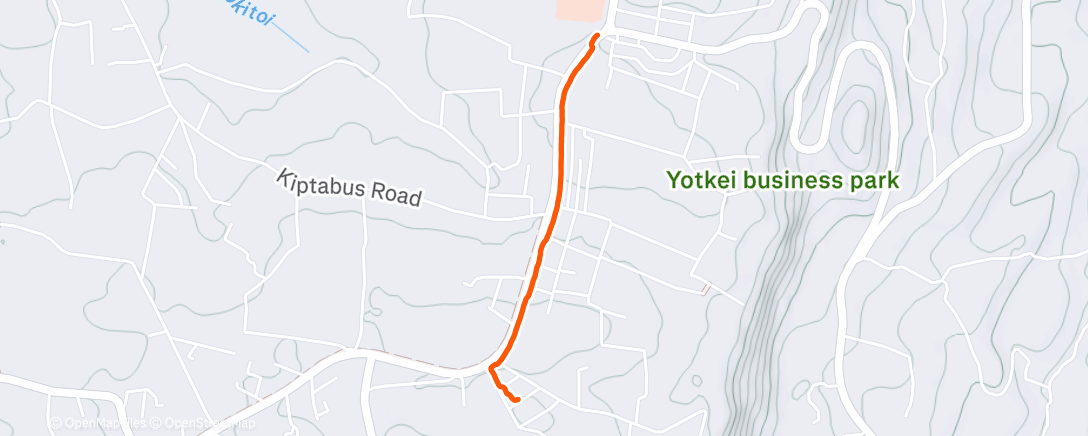 Карта физической активности (Afternoon Walk)