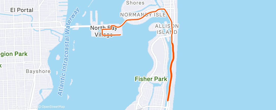 Map of the activity, Morning Run