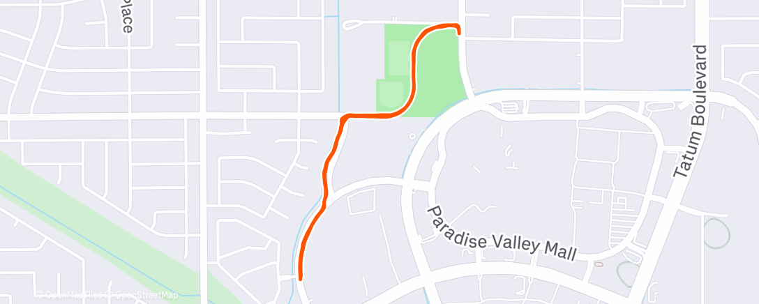 Карта физической активности (Afternoon Run)