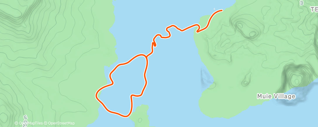 Карта физической активности (Zwift - Deca Dash in Watopia)