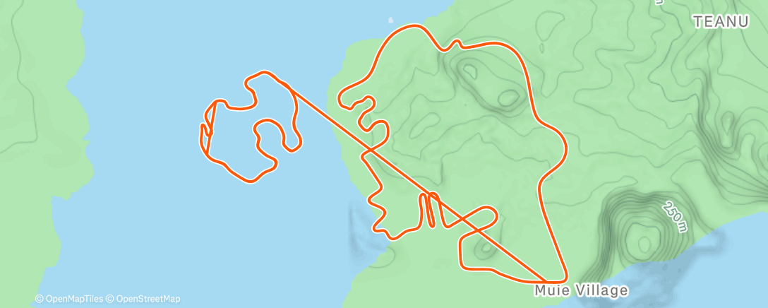 Map of the activity, Zwift - Flat Route in Watopia