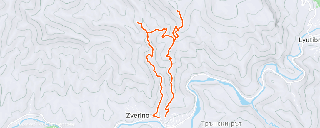 Карта физической активности (Afternoon Trail Run)