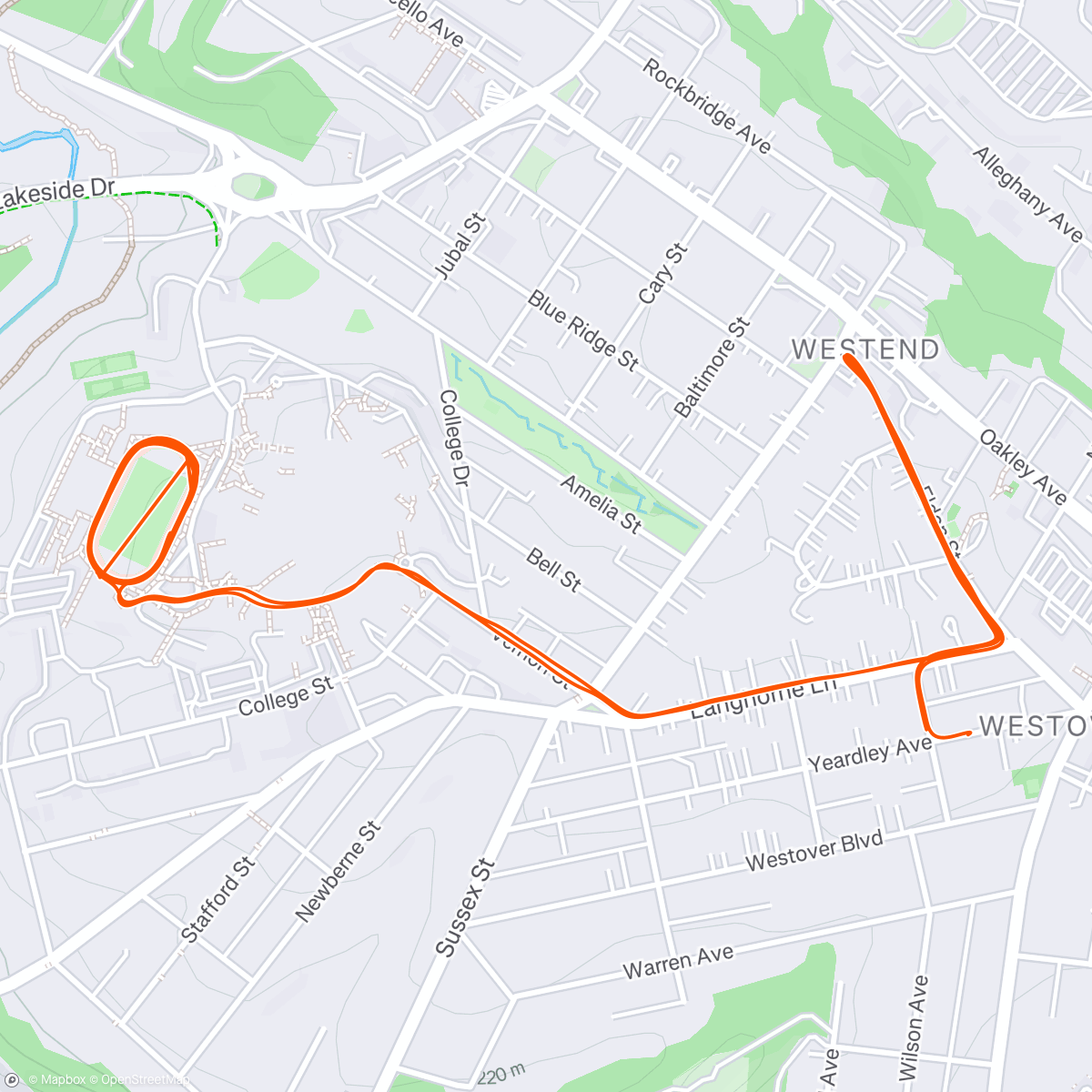 Map of the activity, 20x400