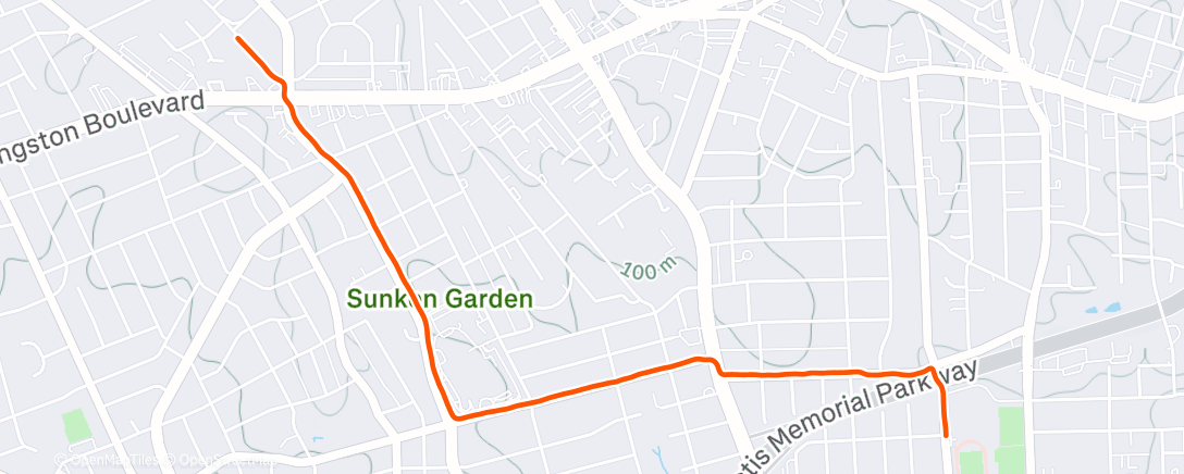 Mapa de la actividad (Morning Run)