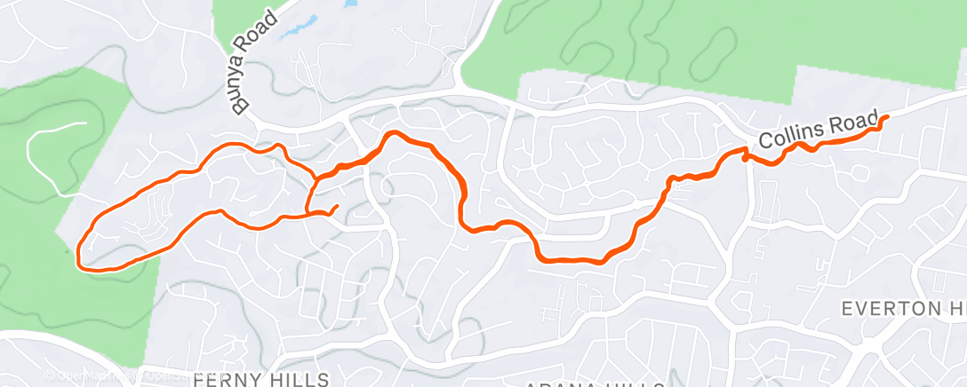 Карта физической активности (Morning Run)