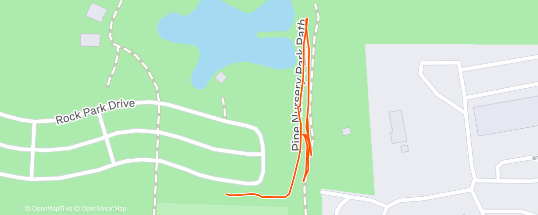 Карта физической активности (Morning Trail Run)