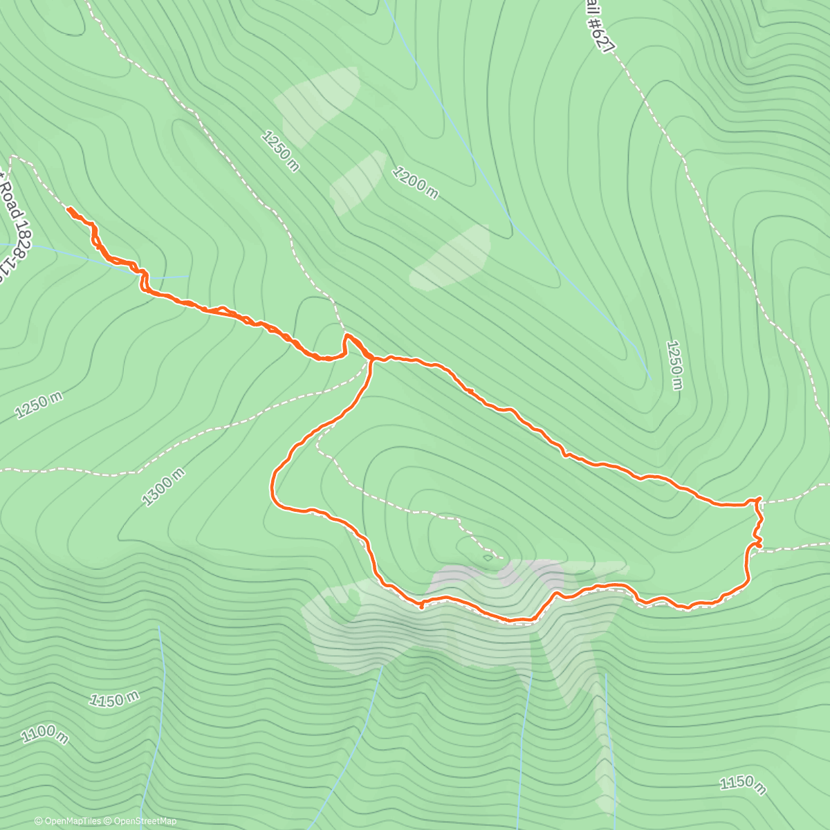 Map of the activity, Bald Mountain