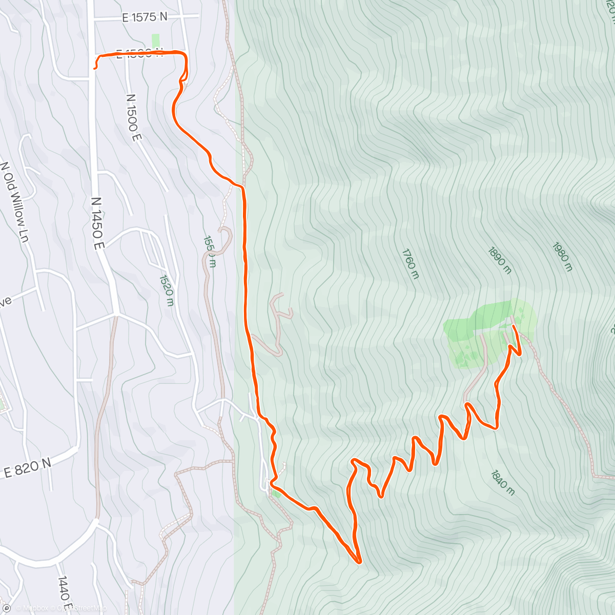 Map of the activity, Y with Patricia