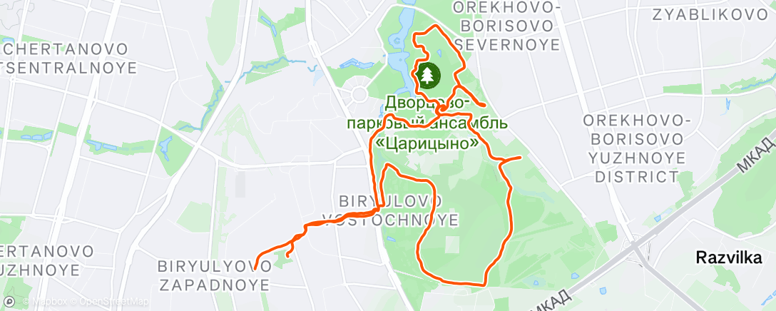 Map of the activity, Утренний забег