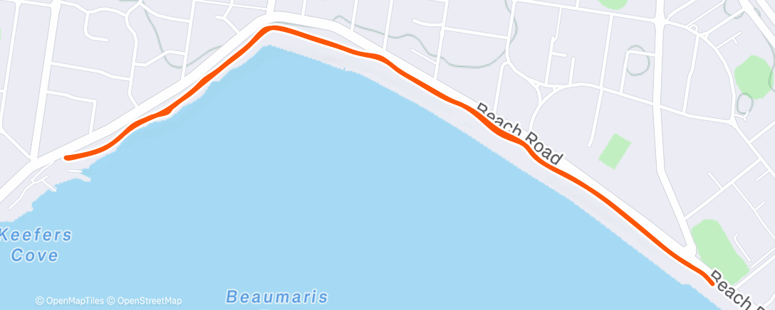 Карта физической активности (Morning Run)