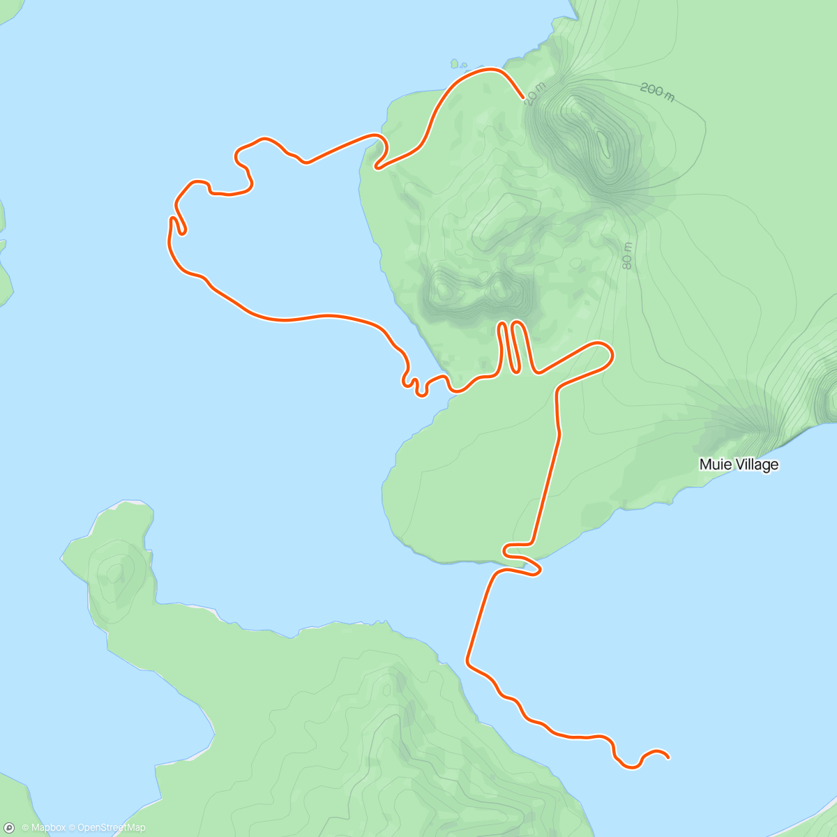 Карта физической активности (Zwift - Ocean Lava Cliffside Loop in Watopia)