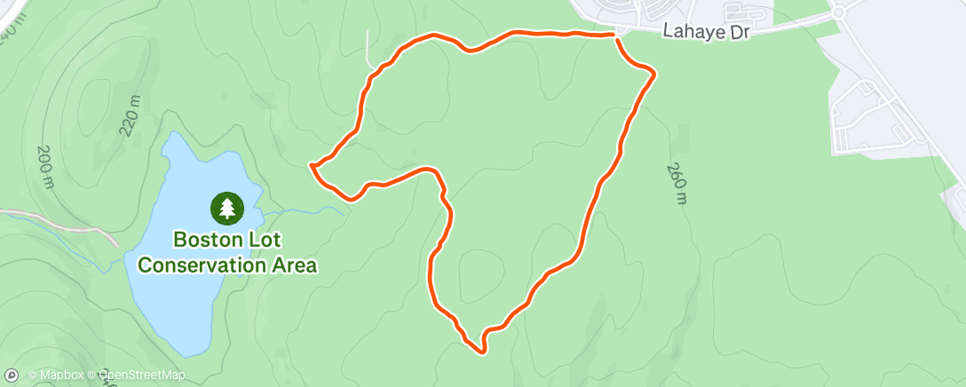 Mapa de la actividad (Afternoon Walk)