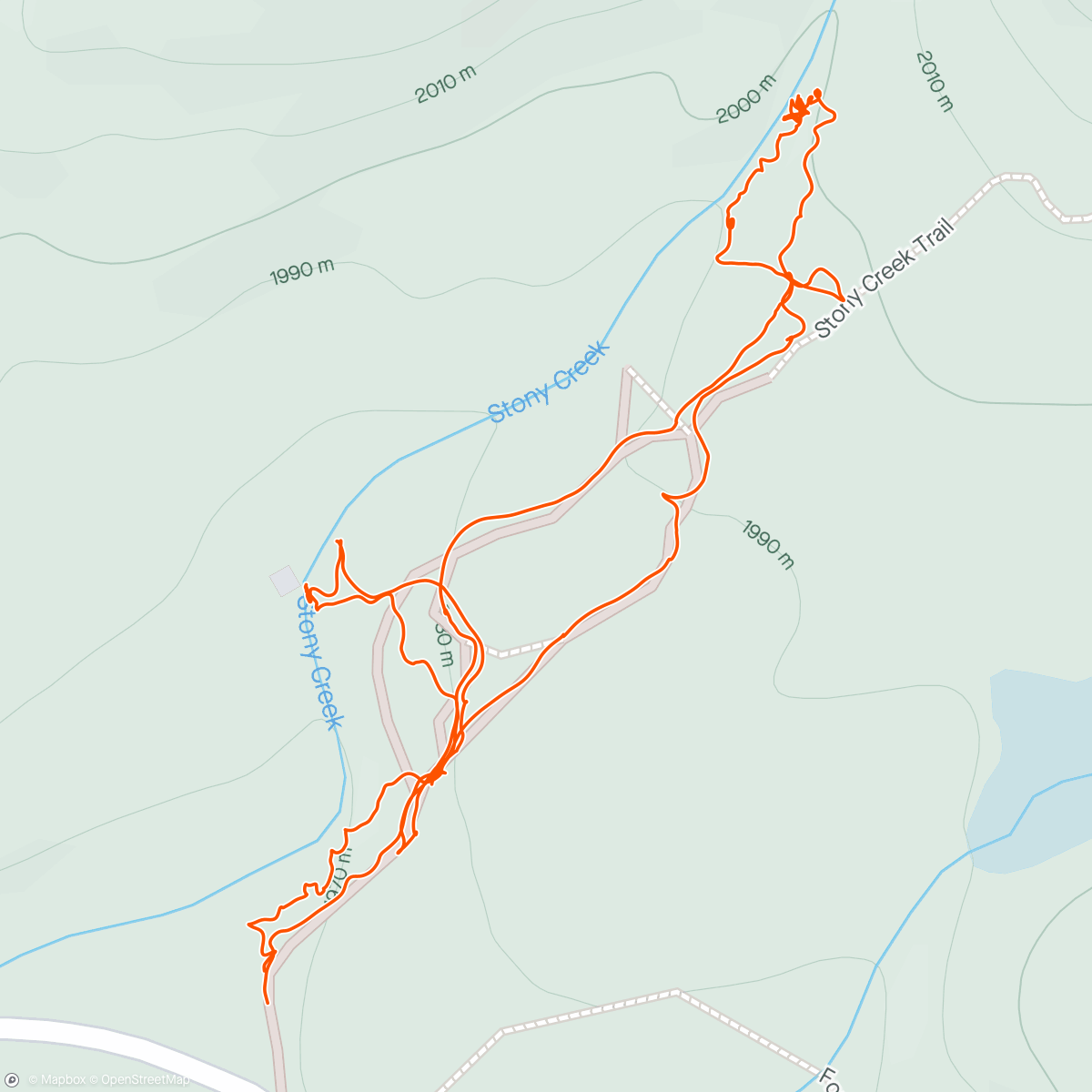 Mapa de la actividad (Sequoia Day 4. Stony Creek mess around)