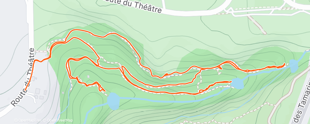 Карта физической активности (Trail dans l'après-midi)