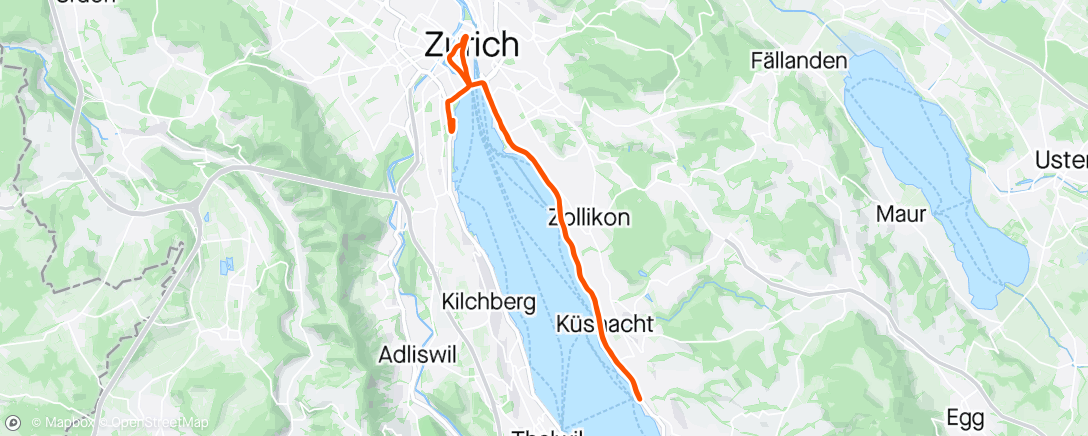 Map of the activity, 2024 Zurich Half Marathon in rain/sleet/hail and 2 degrees 🥶