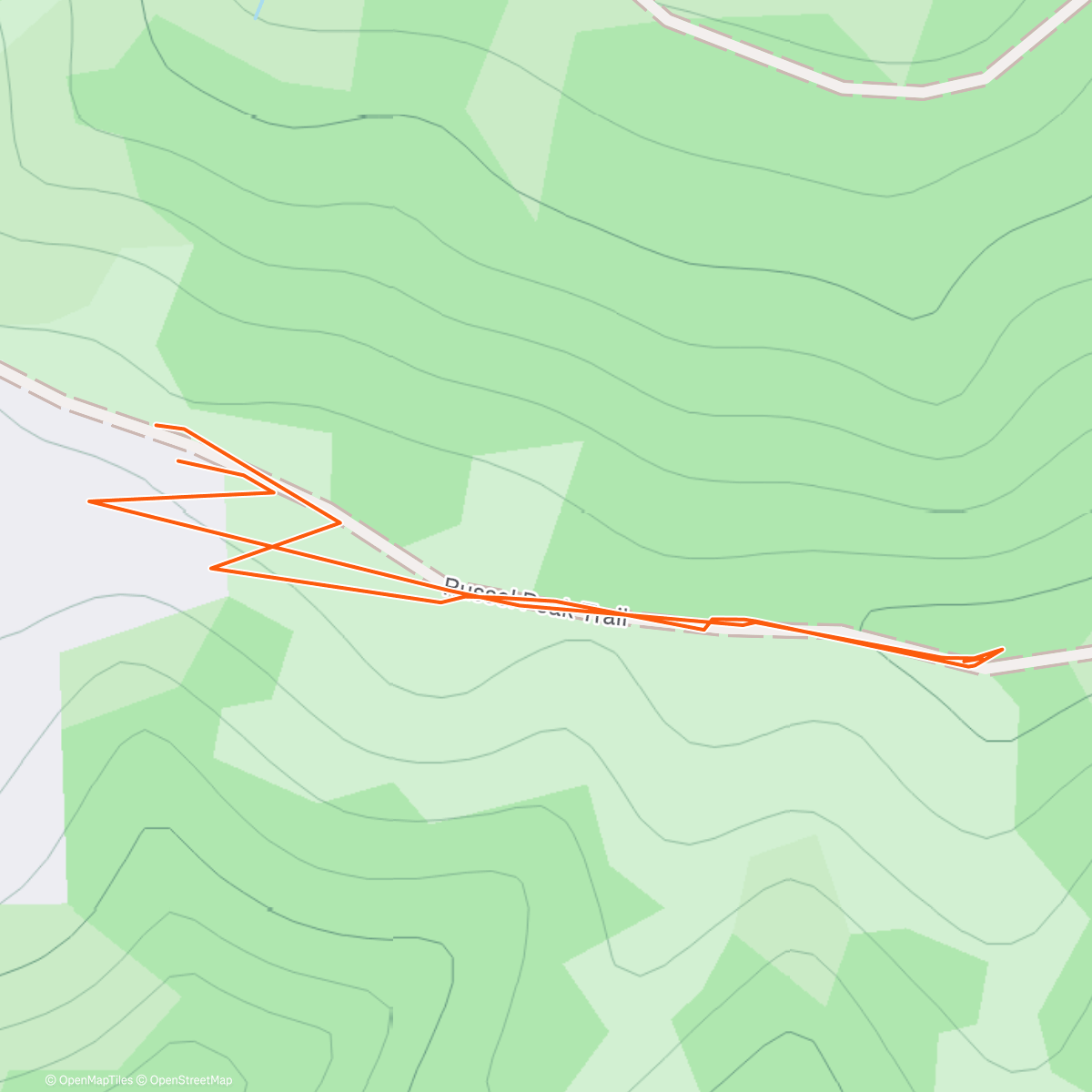 Map of the activity, Benjamin  took Coda for a walk with her Fi Smart Collar