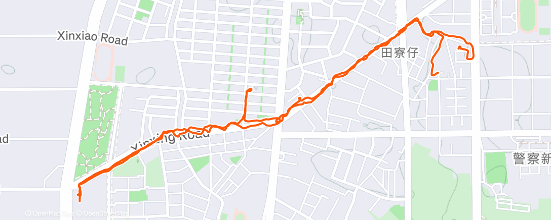 Карта физической активности (午後步行)