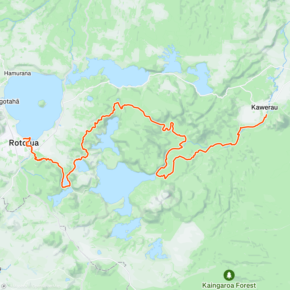 Map of the activity