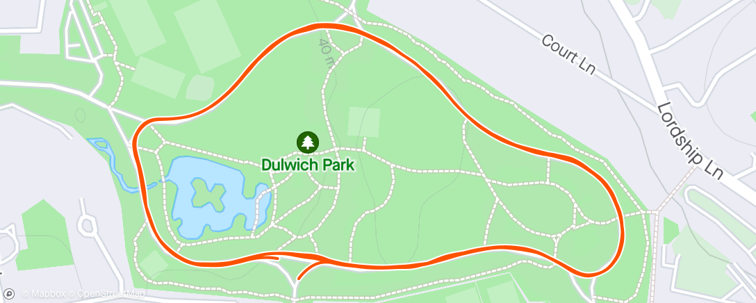 Map of the activity, Dulwich parkrun (#145)