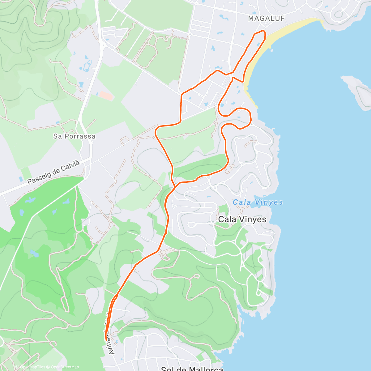 Map of the activity, Just an easy evening run 🏃‍♀️🏃‍♂️