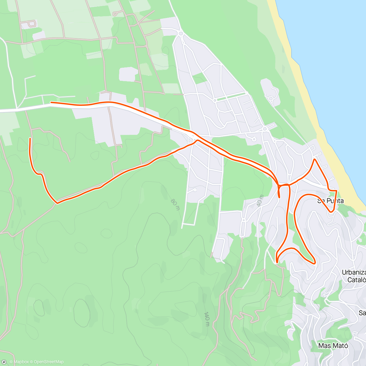Map of the activity, 1e loop in Pals