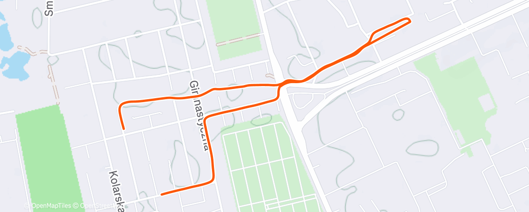 Карта физической активности (Szklanka Walk ⛸️)