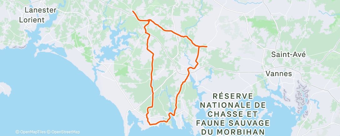 Карта физической активности (Sortie le matin)