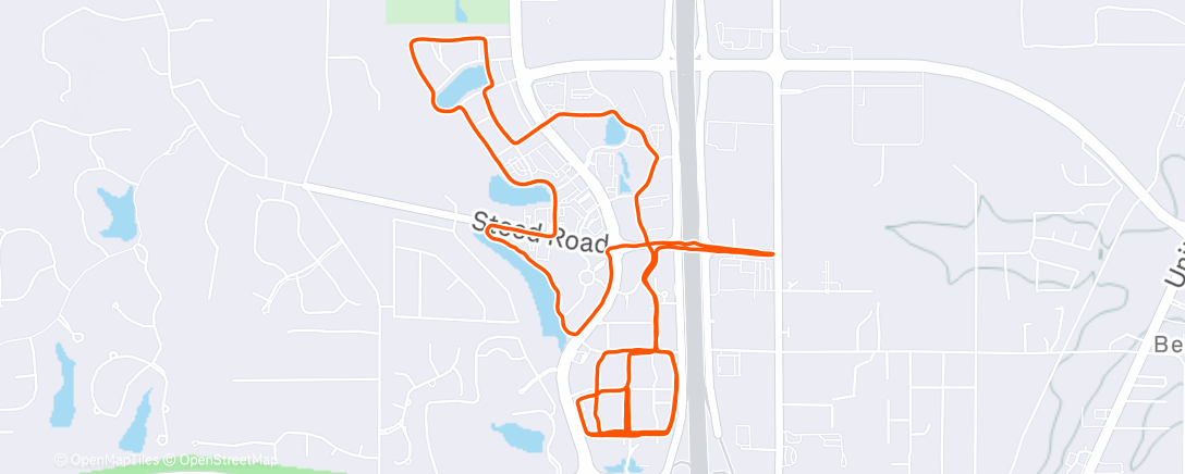Map of the activity, Morning Run