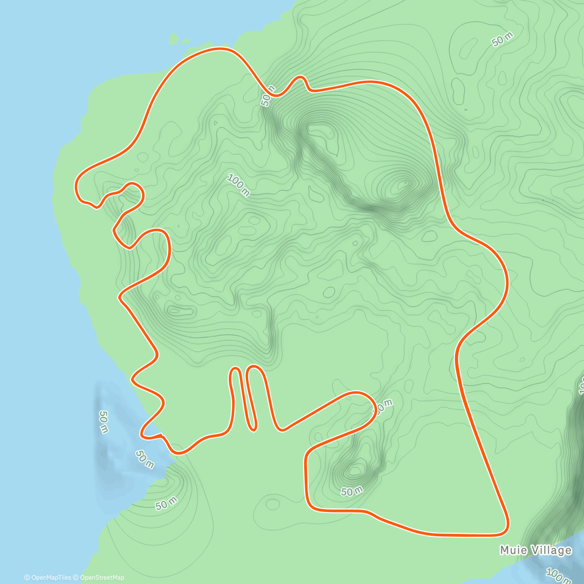 Map of the activity, ☁️ Zwift - Flat Route in Watopia