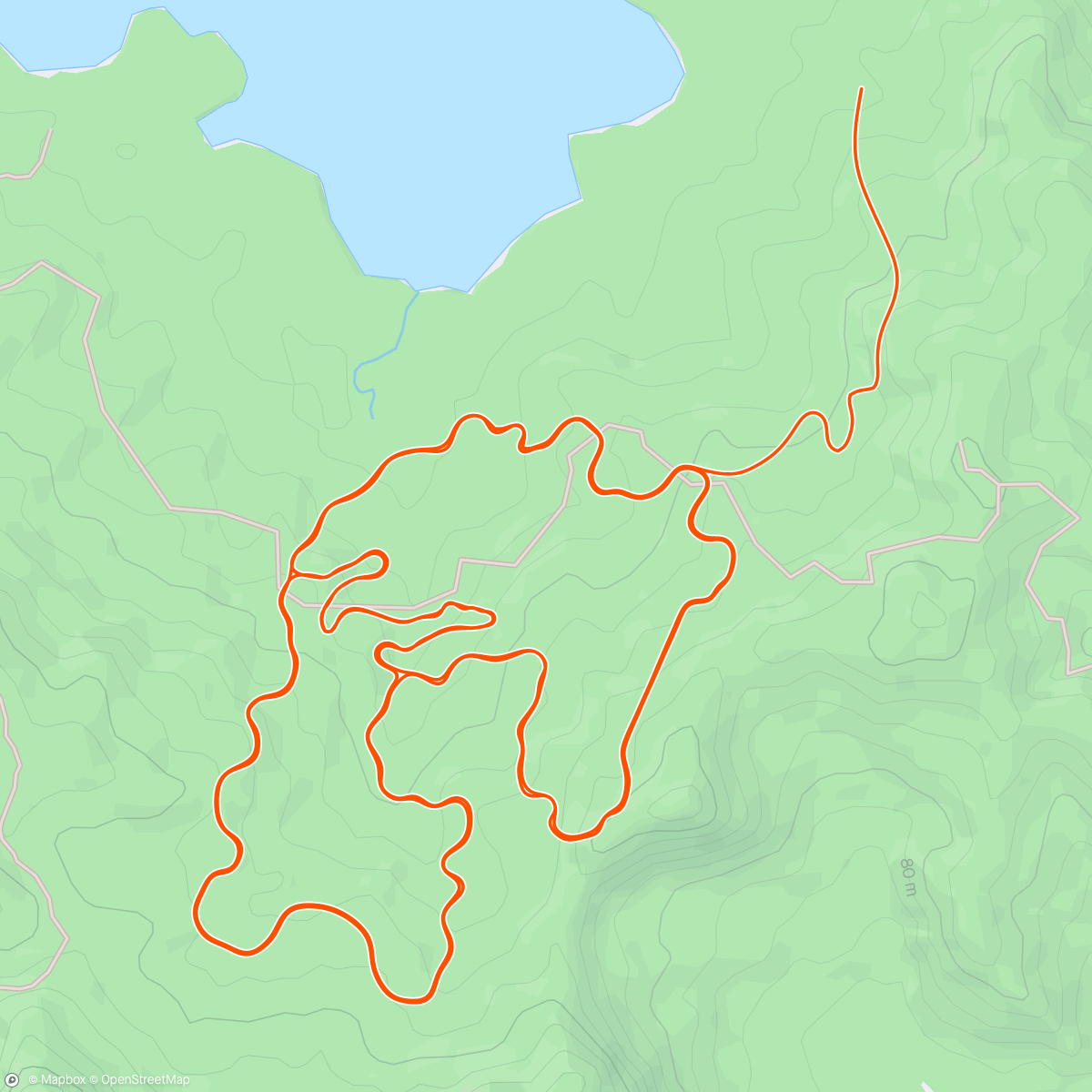 Map of the activity, Zwift - Serpentine 8 in Watopia