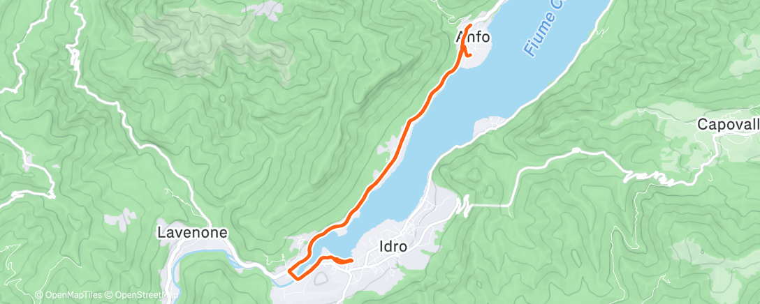 Map of the activity, Quando perdi qualcosa ma ne trovi un’altra. 🐶♥️