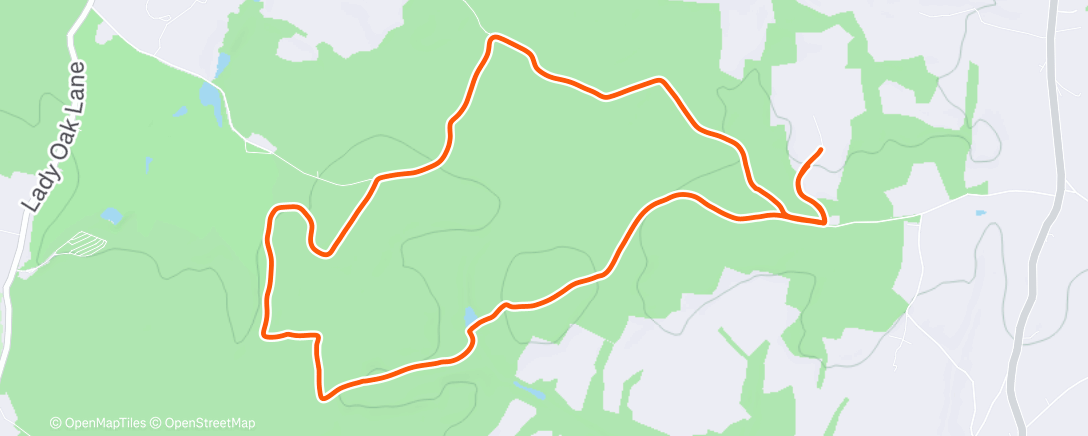 Map of the activity, Lunch Walk