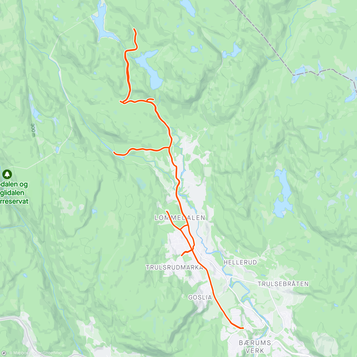 Map of the activity, Litt inn i Lommedalen