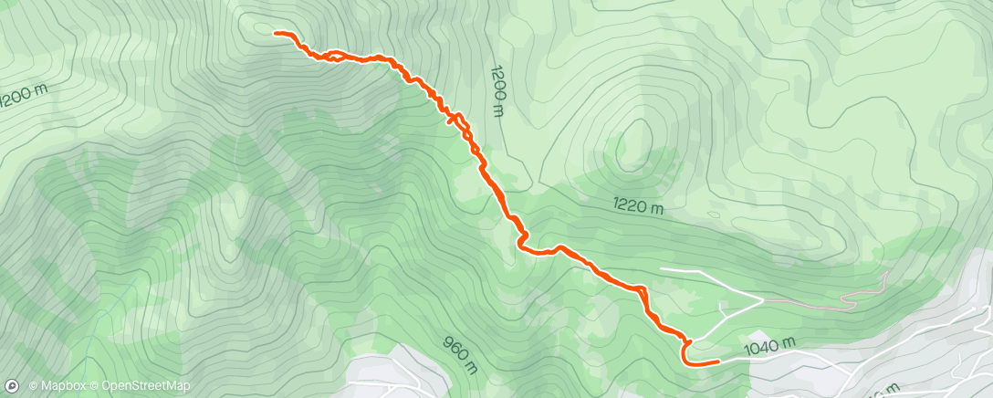 Map of the activity, Manquehue Nevado