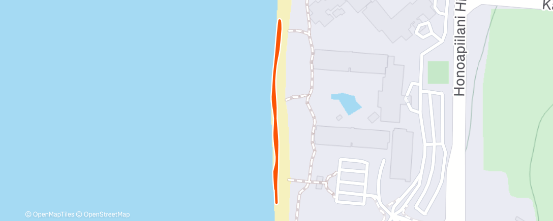 Map of the activity, Afternoon Walk