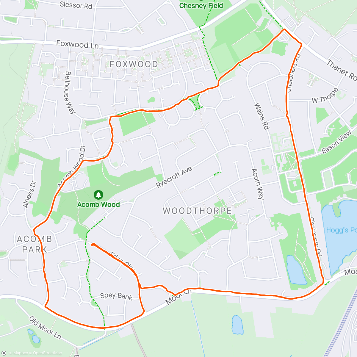 Map of the activity, Sunday lap 🚶