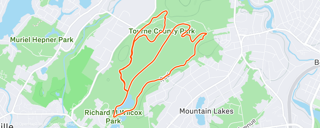 Карта физической активности (Lunch Ride)