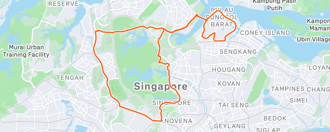 Map of the activity, Morning Ride