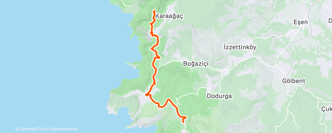 Карта физической активности (Утренняя прогулка)